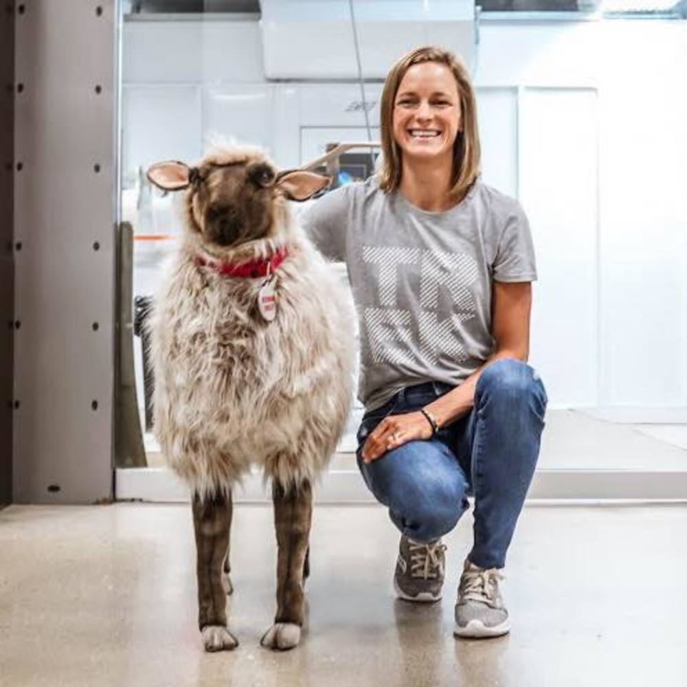 Meet your Posher, Linsey